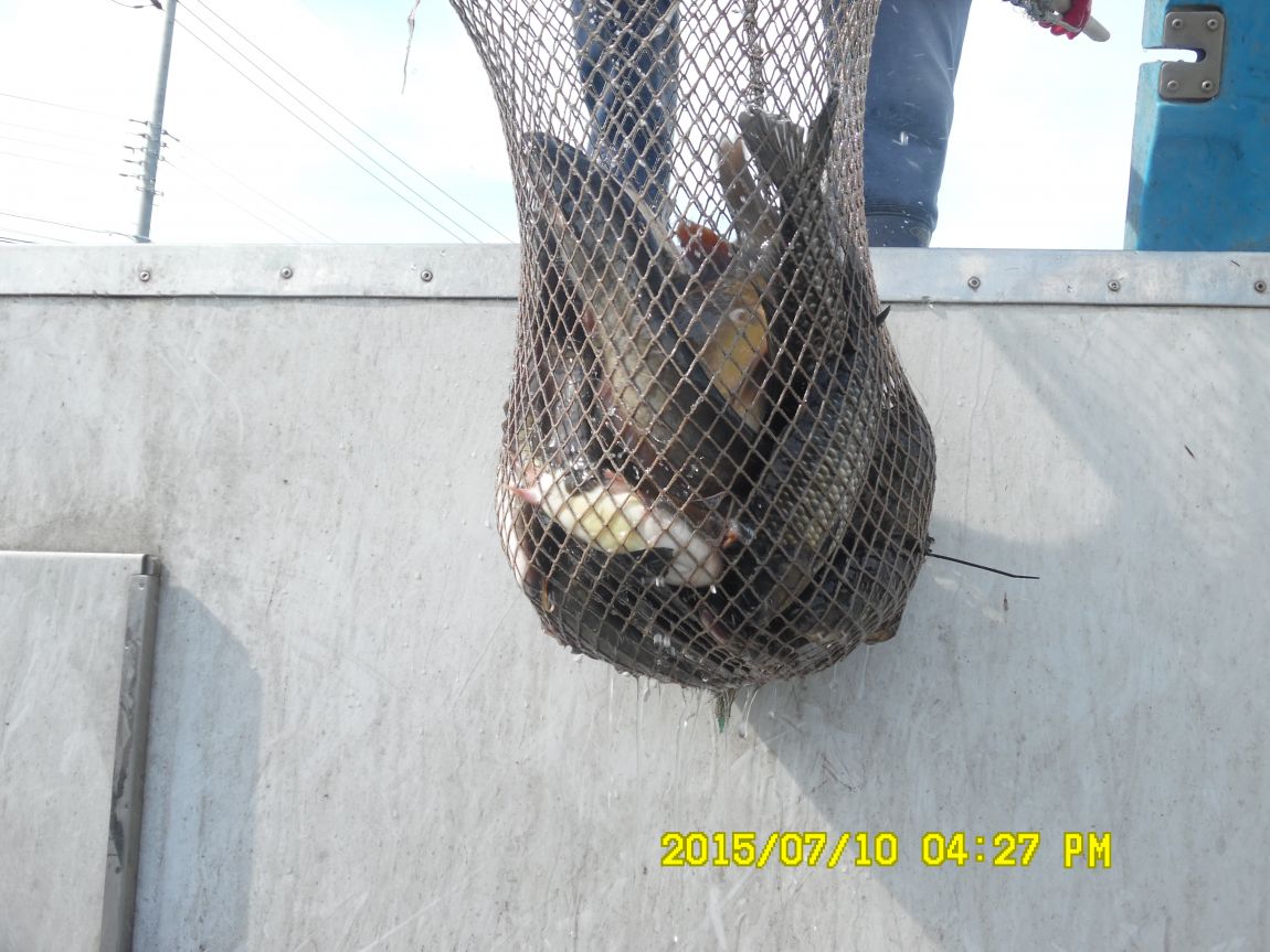 7��9��~10�� 011.JPG