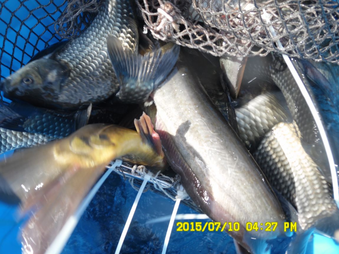 7��9��~10�� 012.JPG