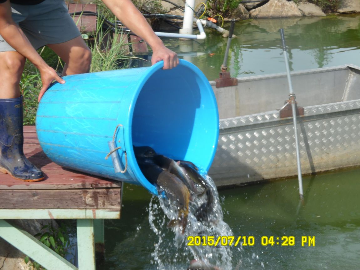 7��9��~10�� 013.JPG