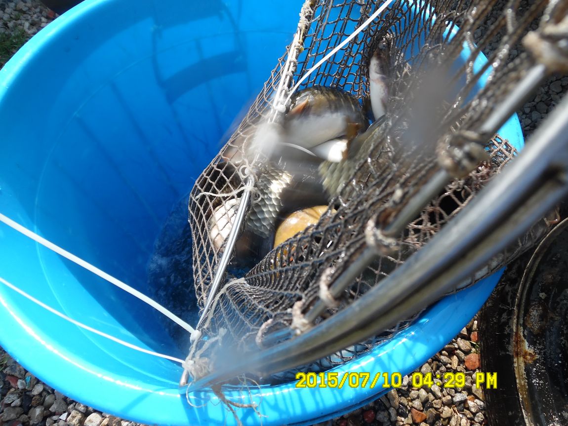 7��9��~10�� 014.JPG