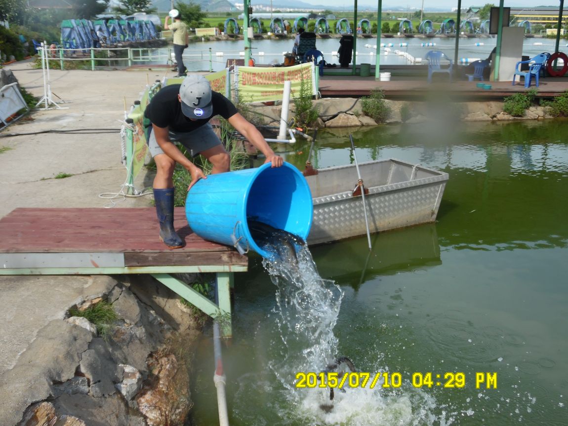 7��9��~10�� 015.JPG