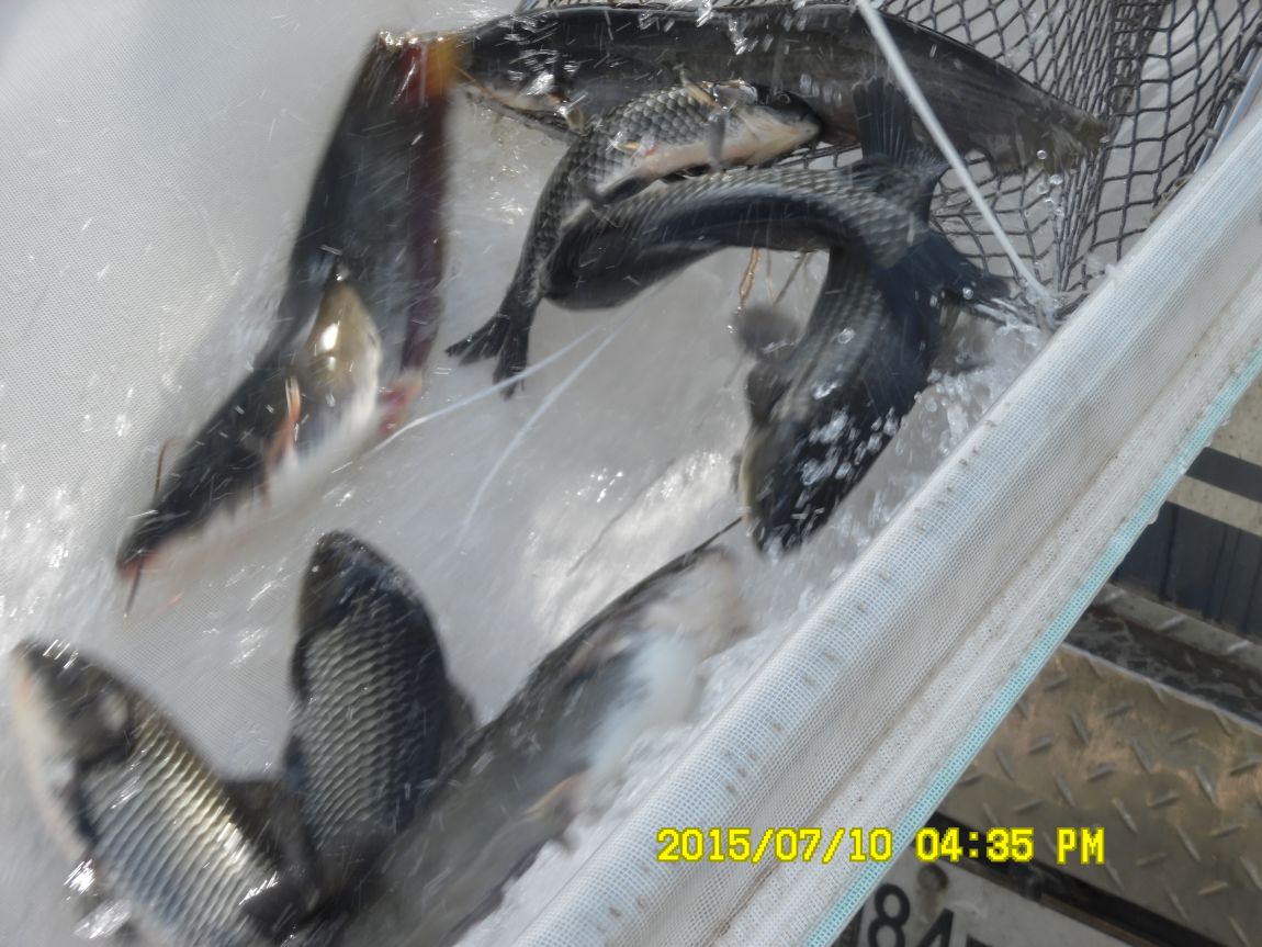 7��9��~10�� 018.JPG