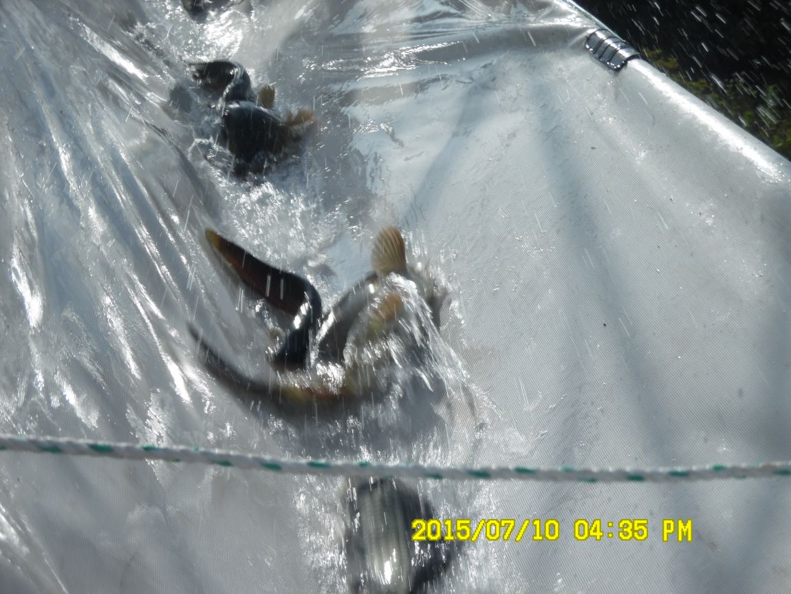 7��9��~10�� 019.JPG