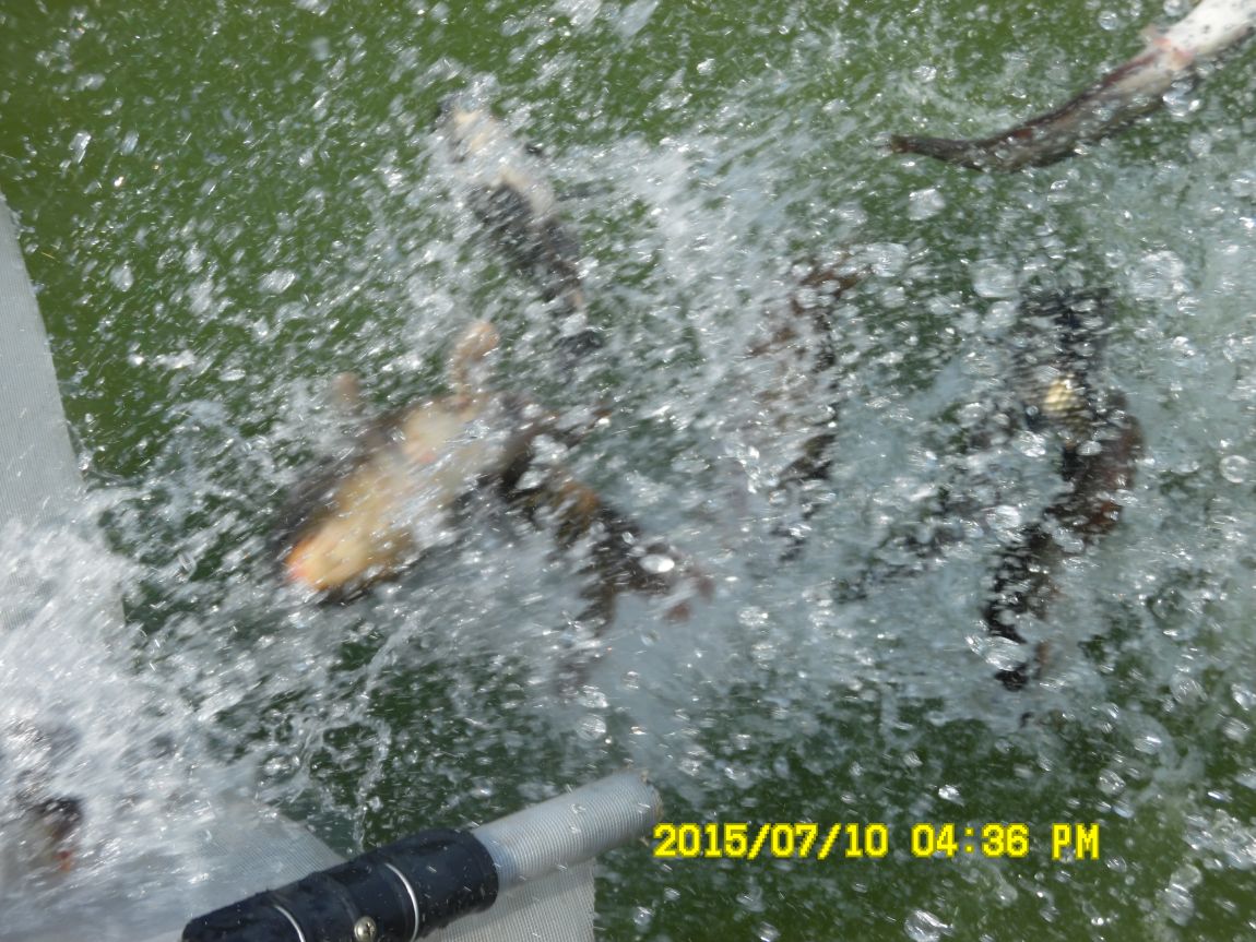 7��9��~10�� 020.JPG