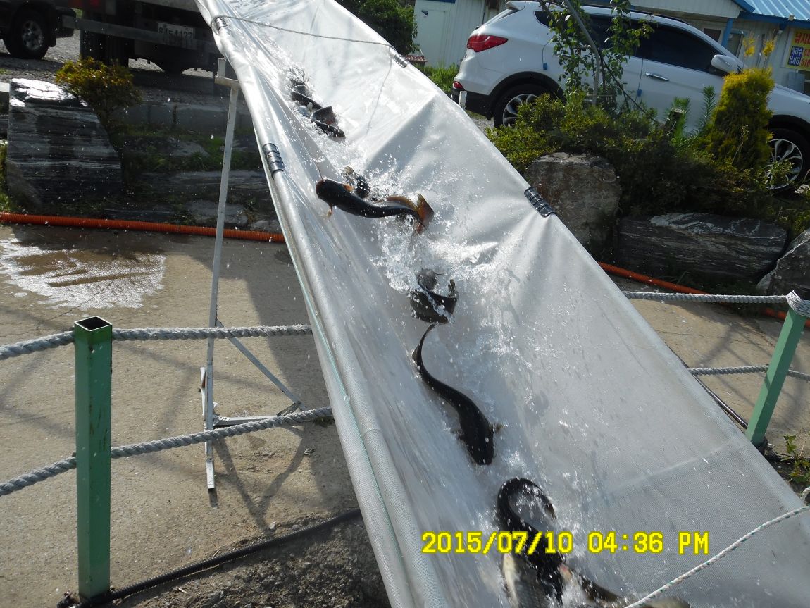 7��9��~10�� 021.JPG