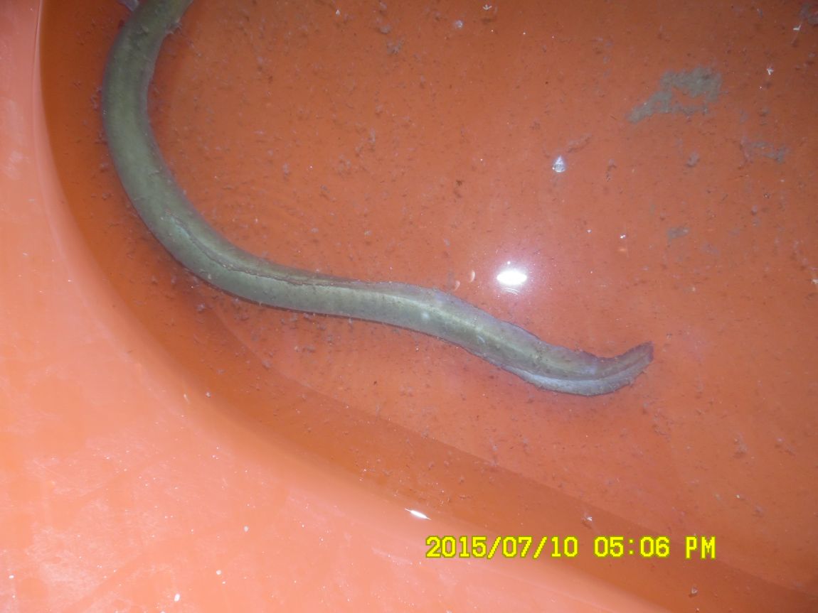 7��9��~10�� 022.JPG