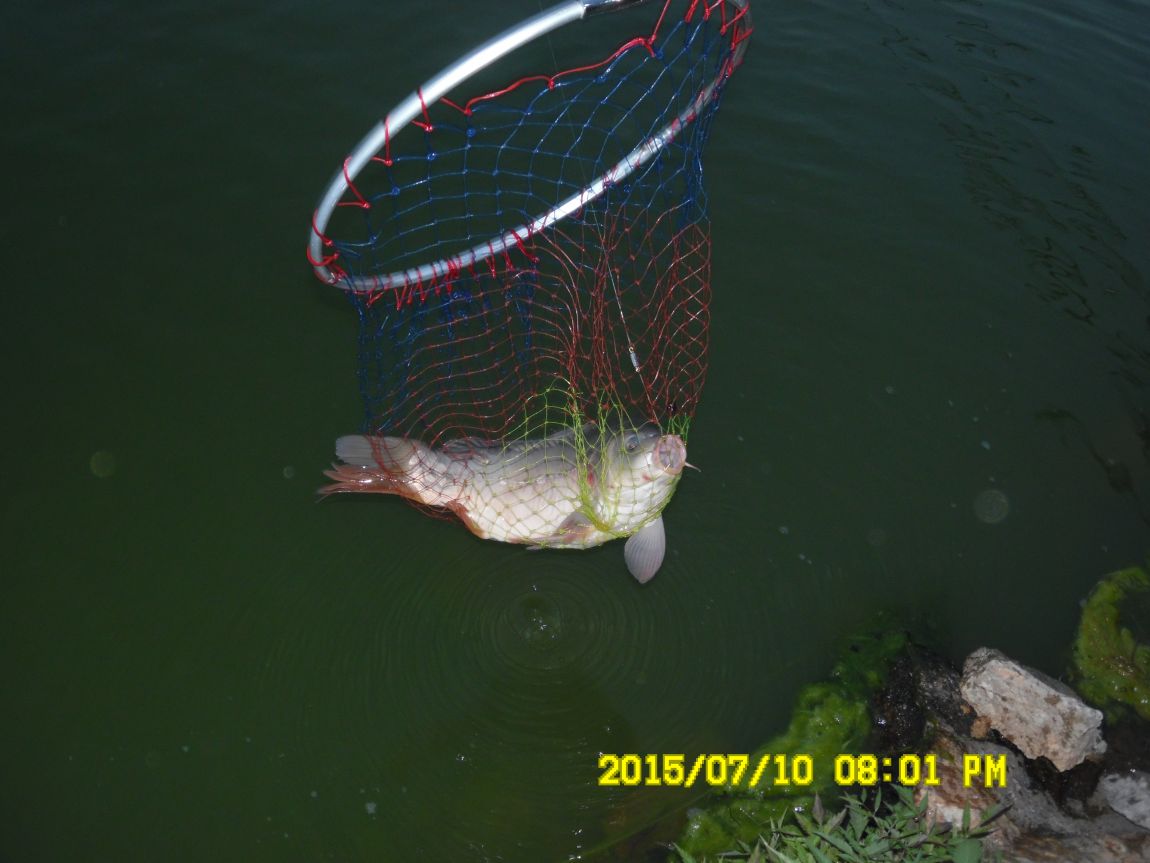 7��9��~10�� 038.JPG