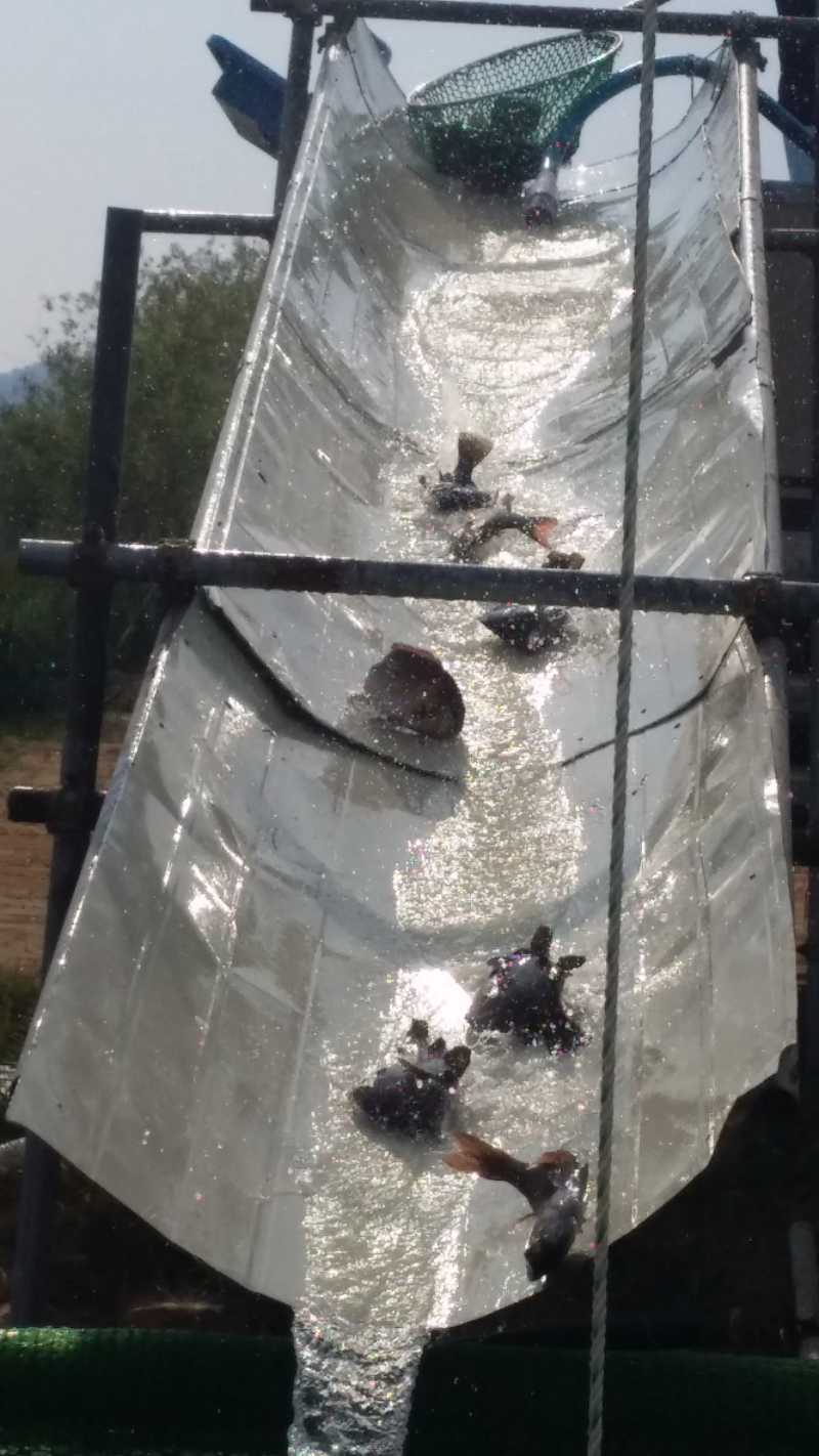 20150710_163227.png