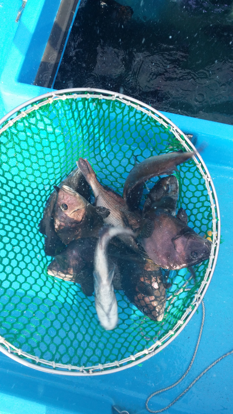 20150710_163424.png