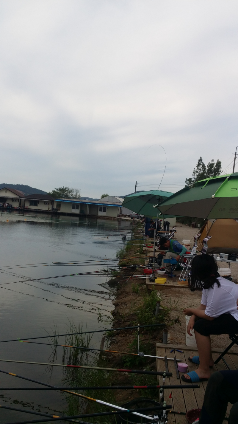 20150711_163319.png