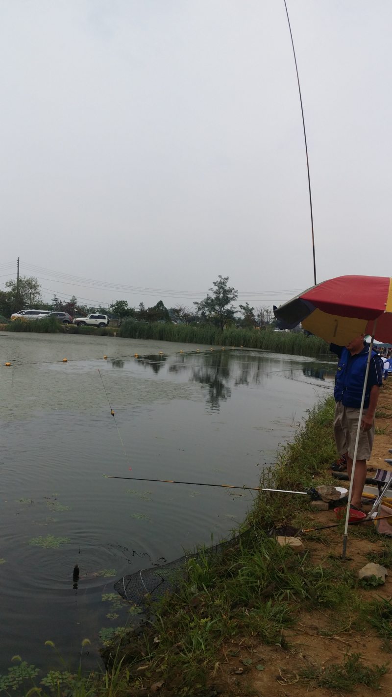 20150711_175145.png