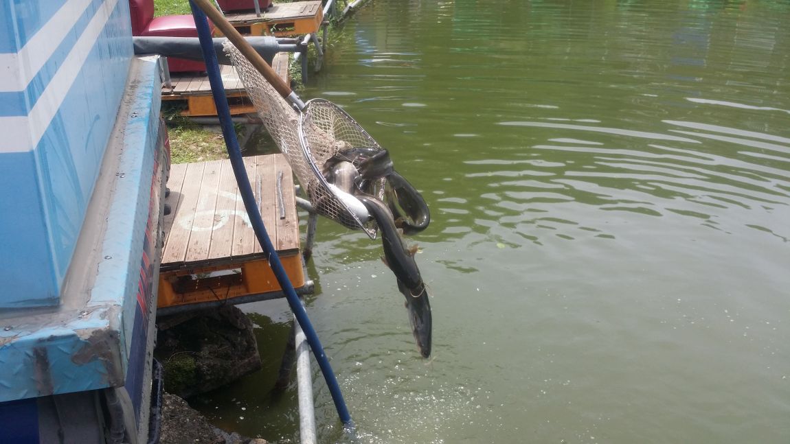 20150711_120801.jpg