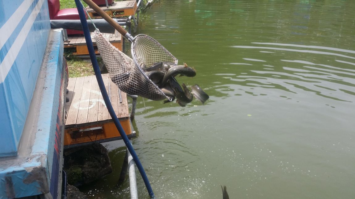 20150711_120828.jpg