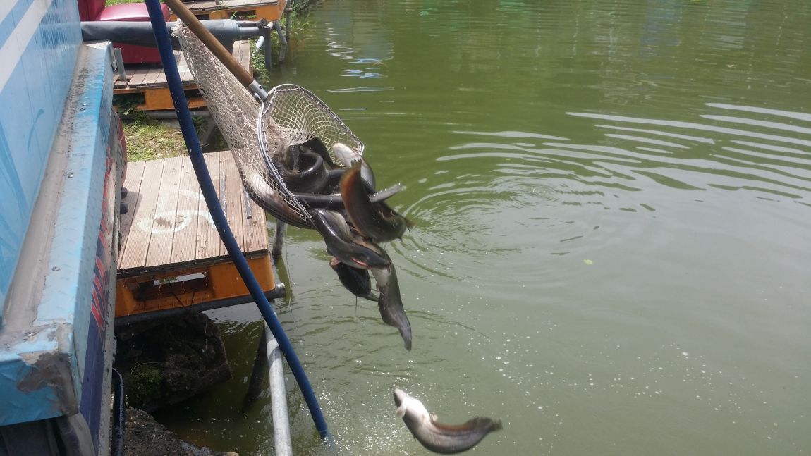 20150711_120856.jpg