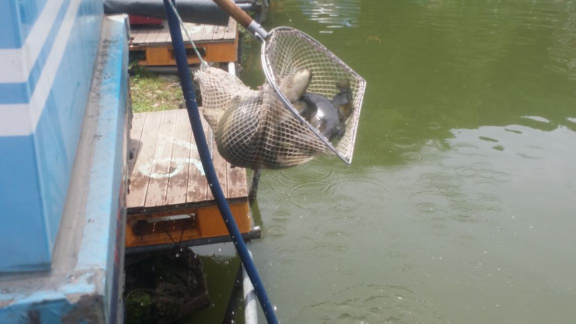20150711_121023.jpg