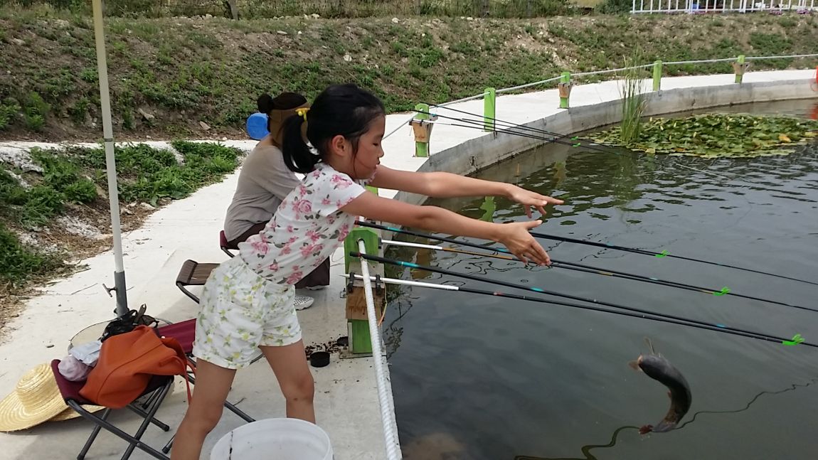20150711_145439.jpg