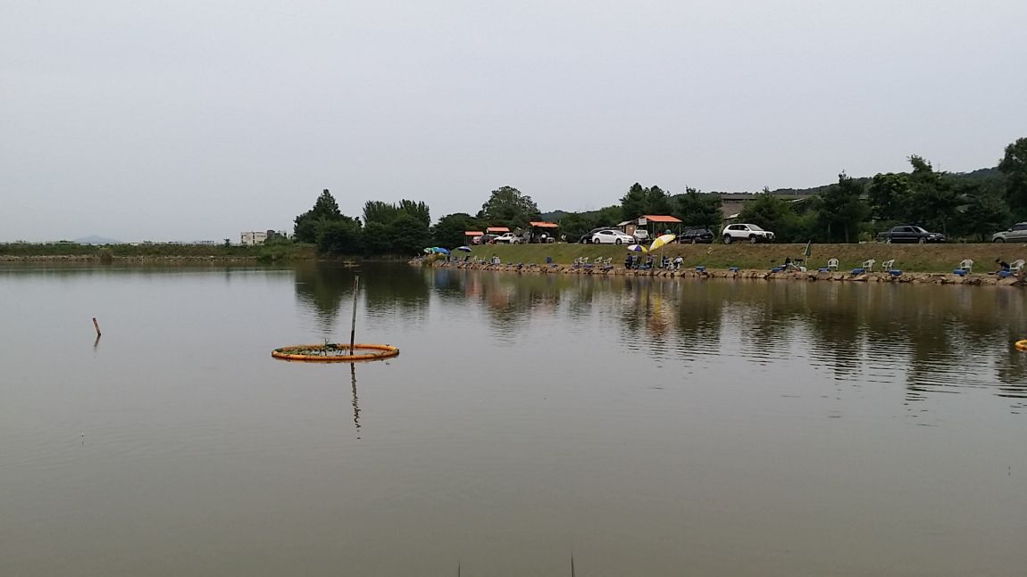 20150711_190317.jpg