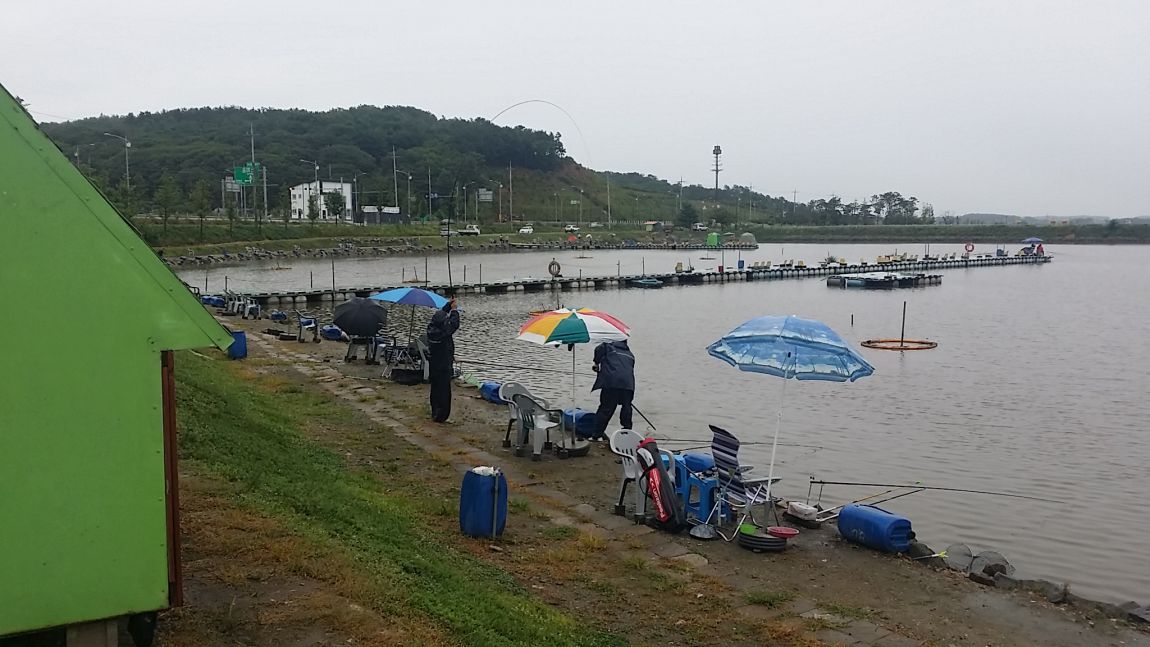 20150712_075314.jpg