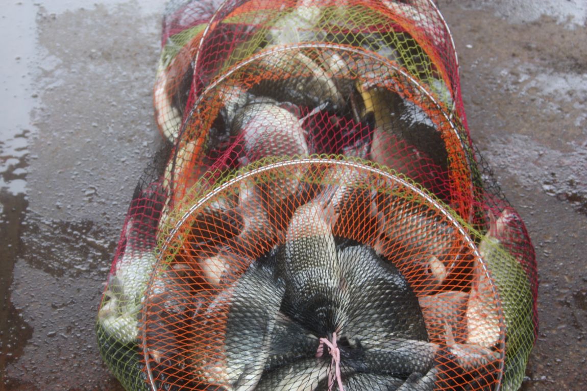 7¿ùµÎ°ÁÖ Á¶È² 176.JPG