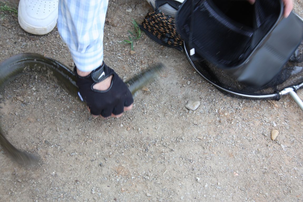 7¿ùµÎ°ÁÖ Á¶È² 031.JPG