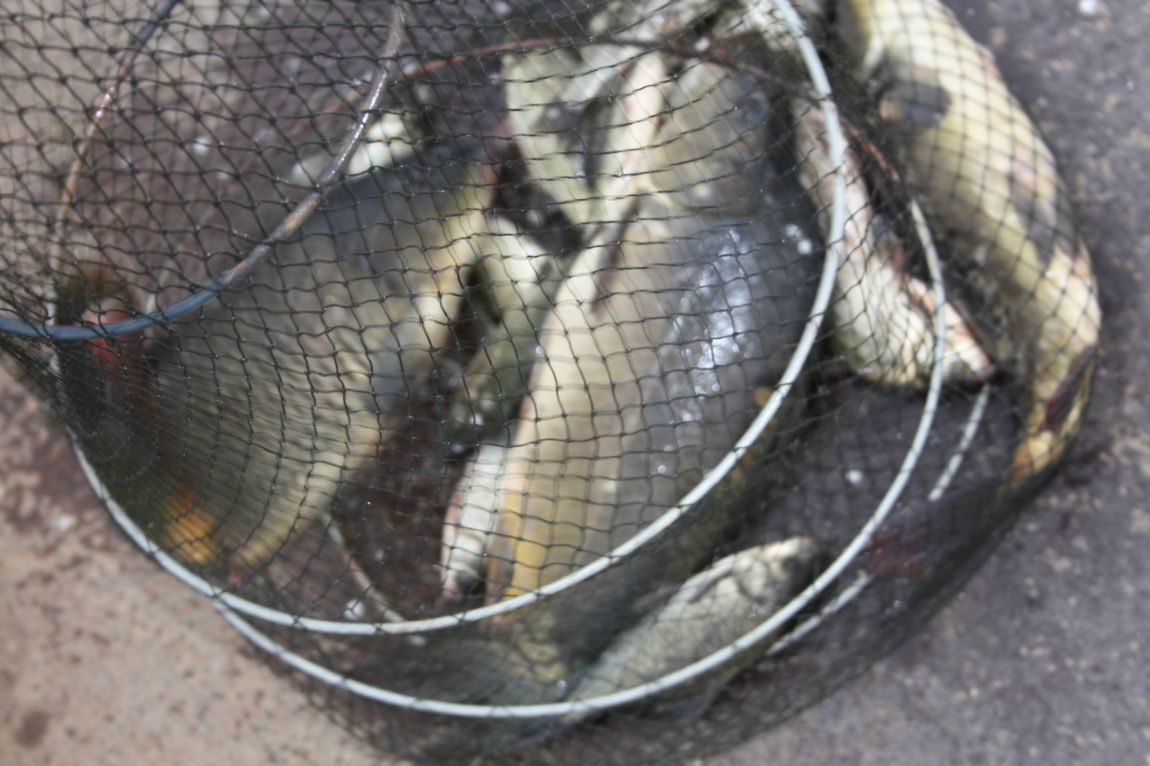 7¿ùµÎ°ÁÖ Á¶È² 148.JPG