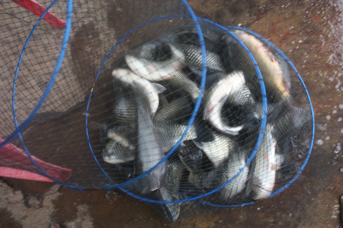 7¿ùµÎ°ÁÖ Á¶È² 188.JPG