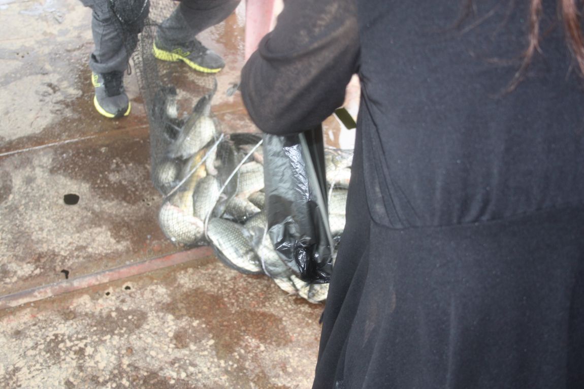 7¿ùµÎ°ÁÖ Á¶È² 185.JPG