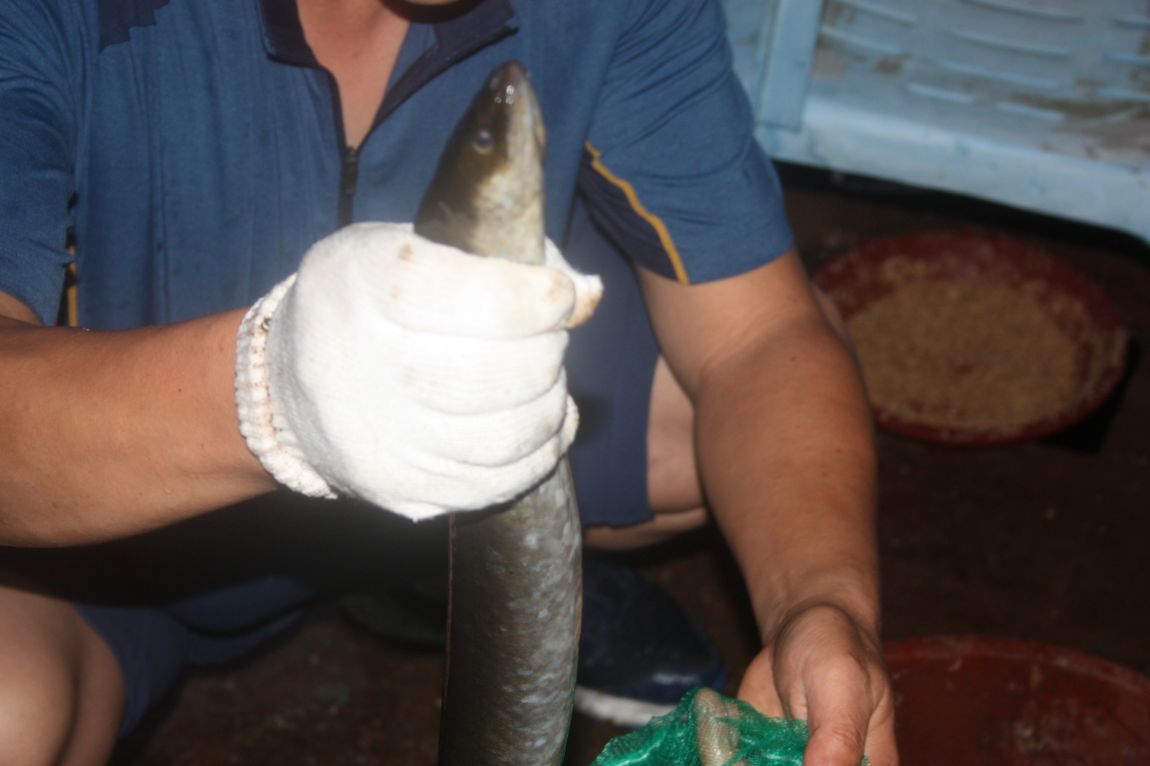 7¿ùµÎ°ÁÖ Á¶È² 200.JPG