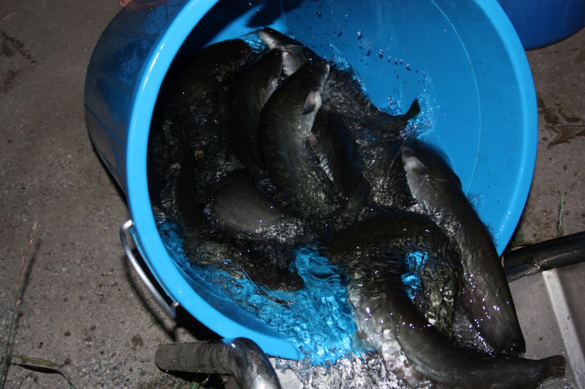 7¿ùµÎ°ÁÖ Á¶È² 015.JPG