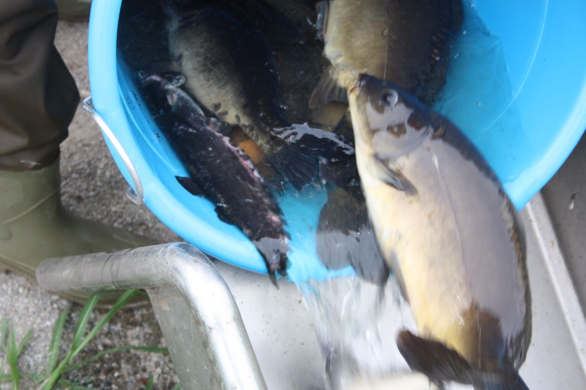 7¿ùµÎ°ÁÖ Á¶È² 054.JPG