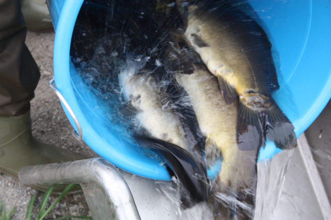 7¿ùµÎ°ÁÖ Á¶È² 056.JPG