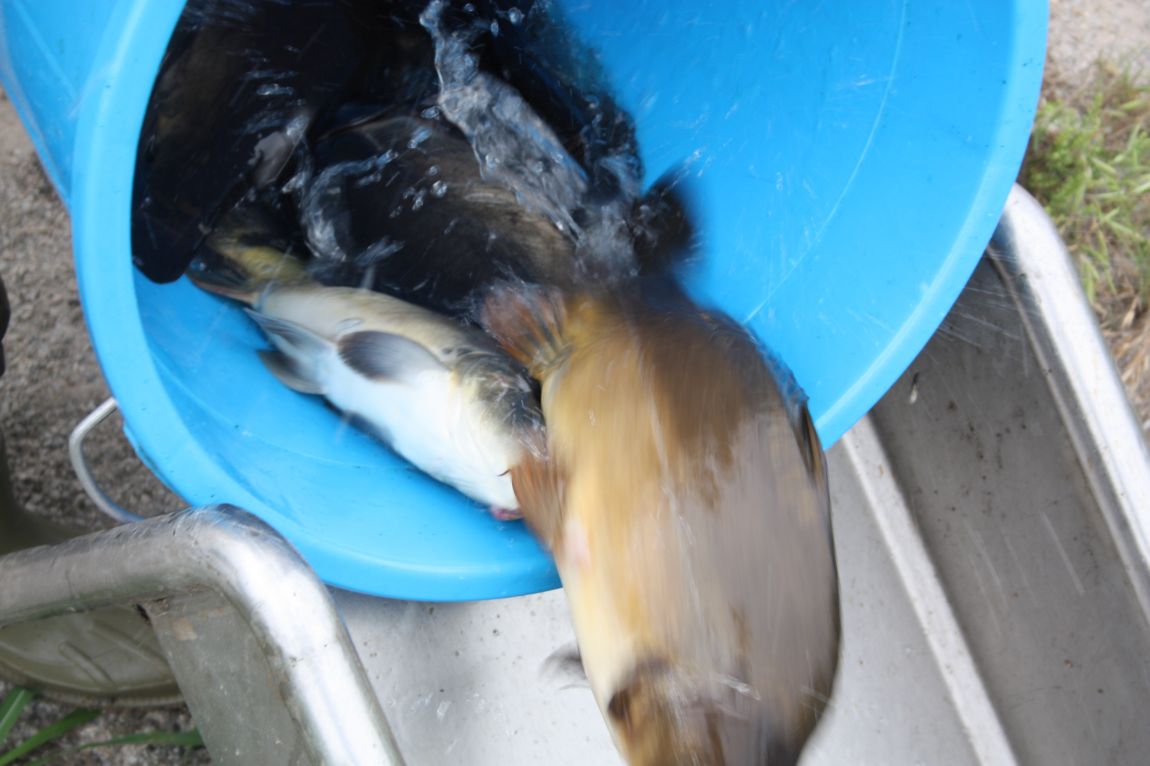 7¿ùµÎ°ÁÖ Á¶È² 062.JPG