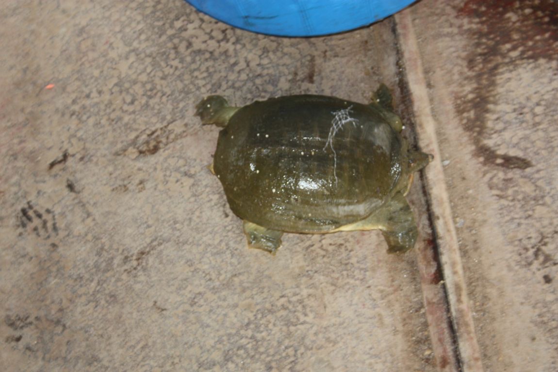 7¿ùµÎ°ÁÖ Á¶È² 080.JPG