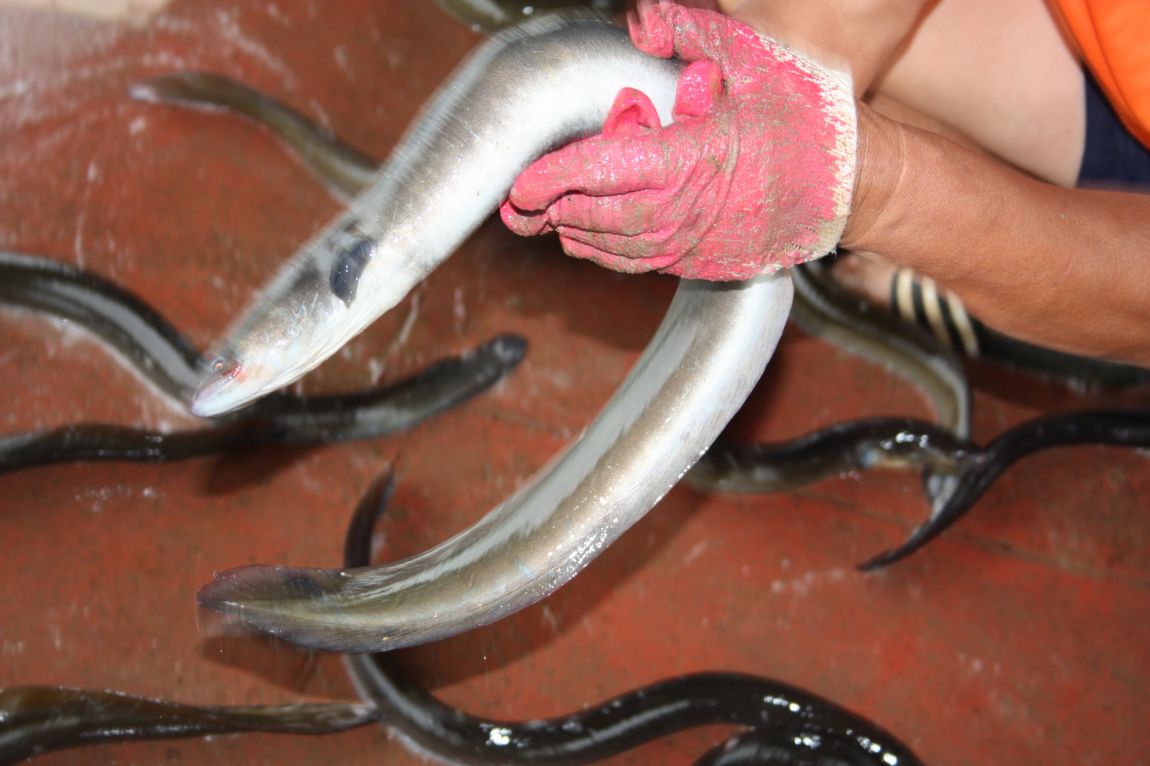 7¿ùµÎ°ÁÖ Á¶È² 084.JPG