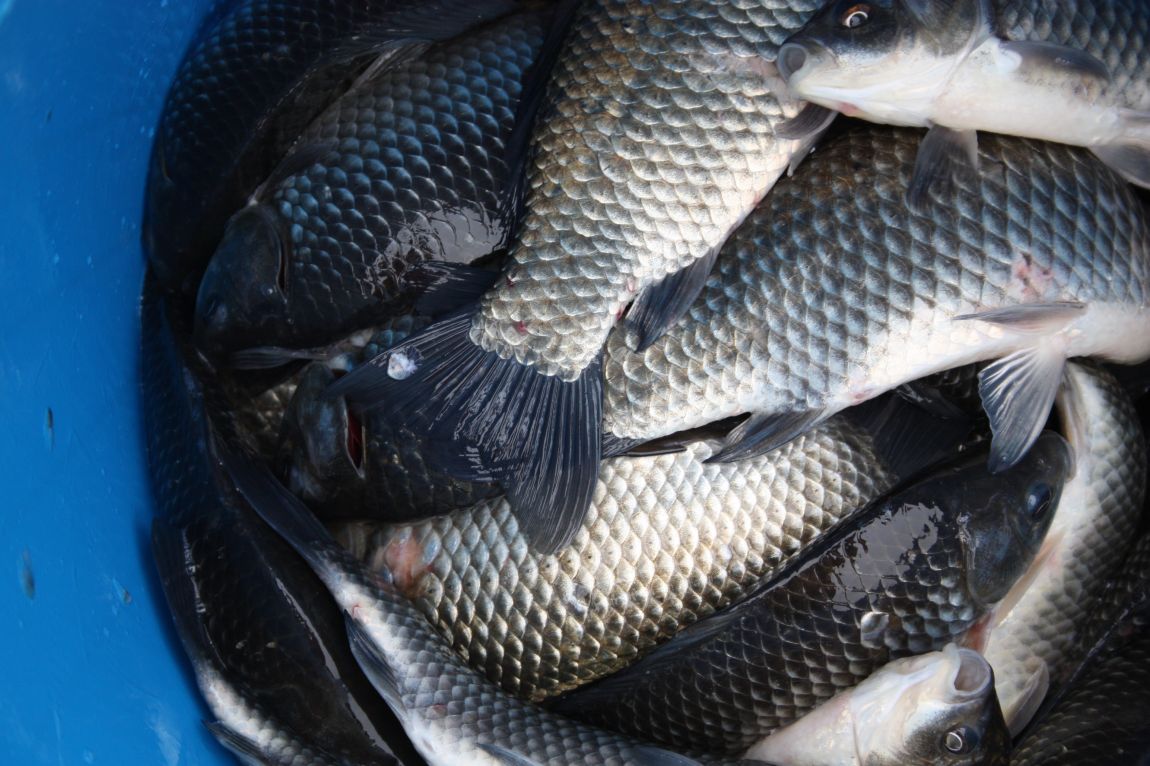 7¿ùµÎ°ÁÖ Á¶È² 119.JPG