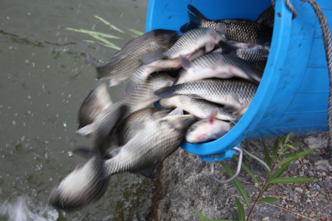 7¿ùµÎ°ÁÖ Á¶È² 138.JPG