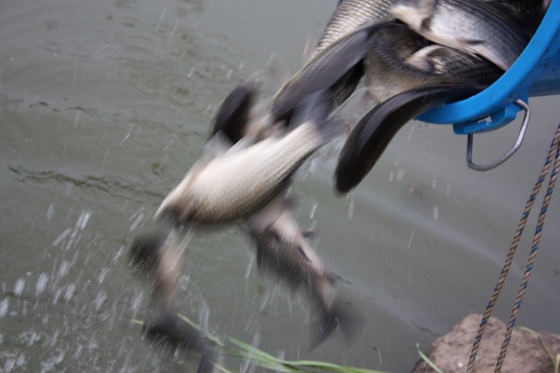 7¿ùµÎ°ÁÖ Á¶È² 140.JPG