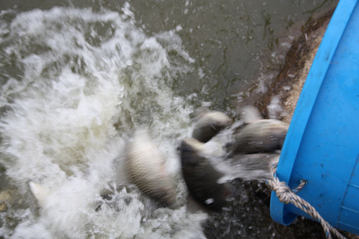 7¿ùµÎ°ÁÖ Á¶È² 129.JPG