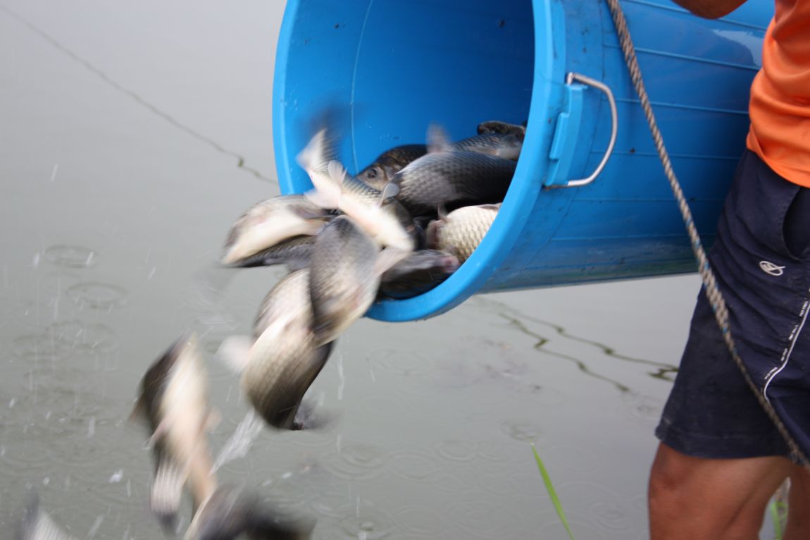 7¿ùµÎ°ÁÖ Á¶È² 141.JPG