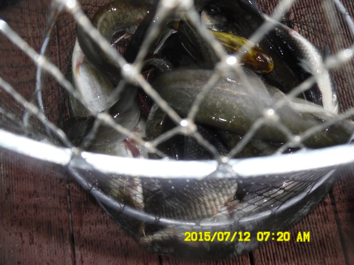 7��12��~13���� 001.JPG