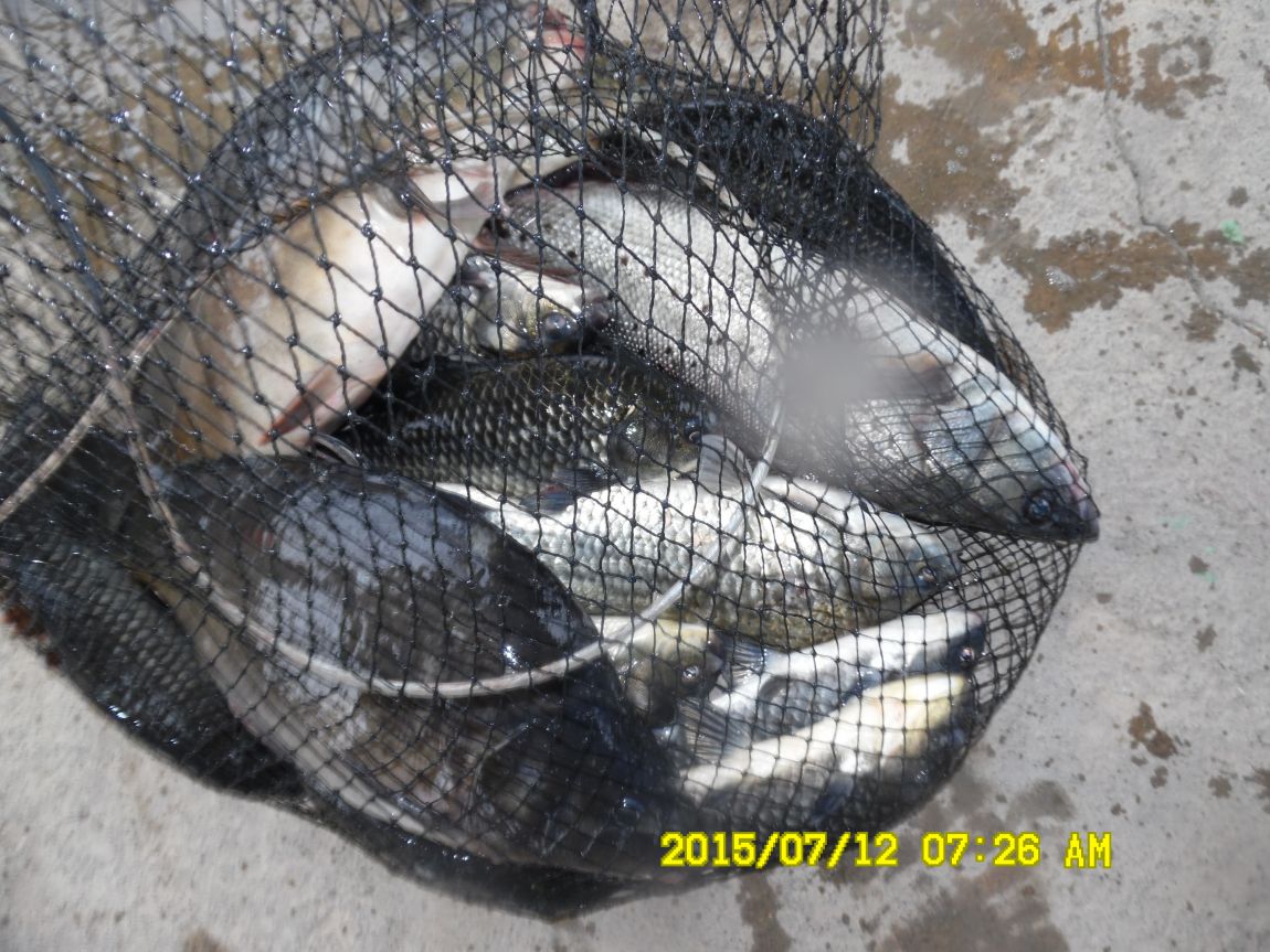 7��12��~13���� 002.JPG