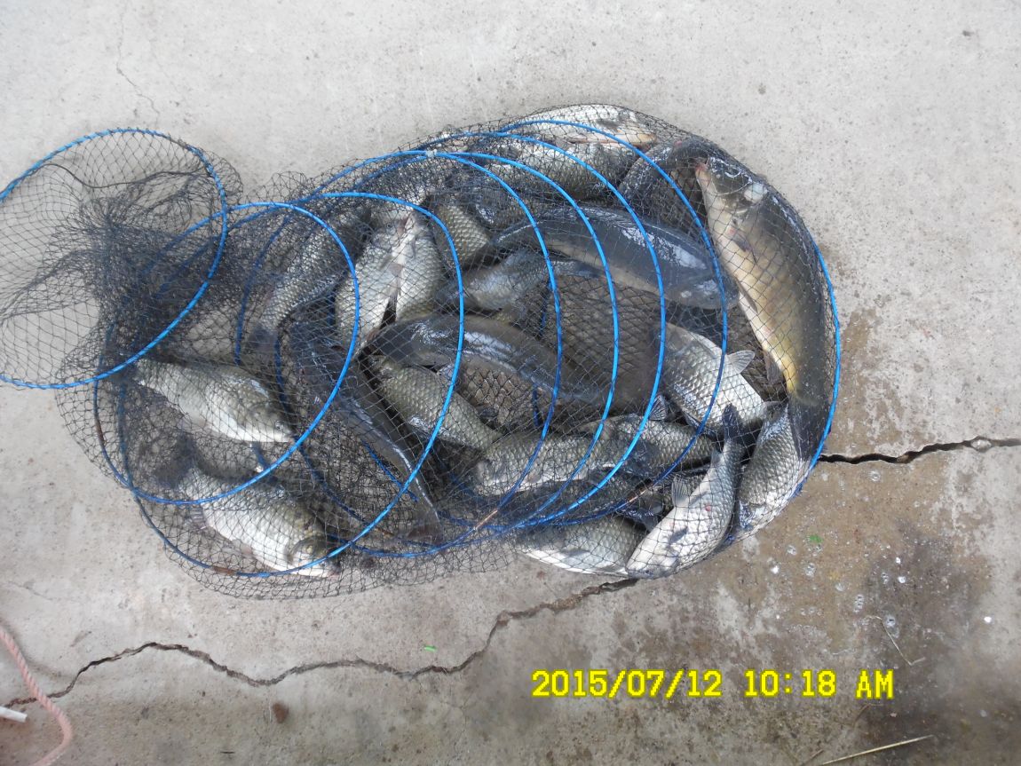 7��12��~13���� 005.JPG