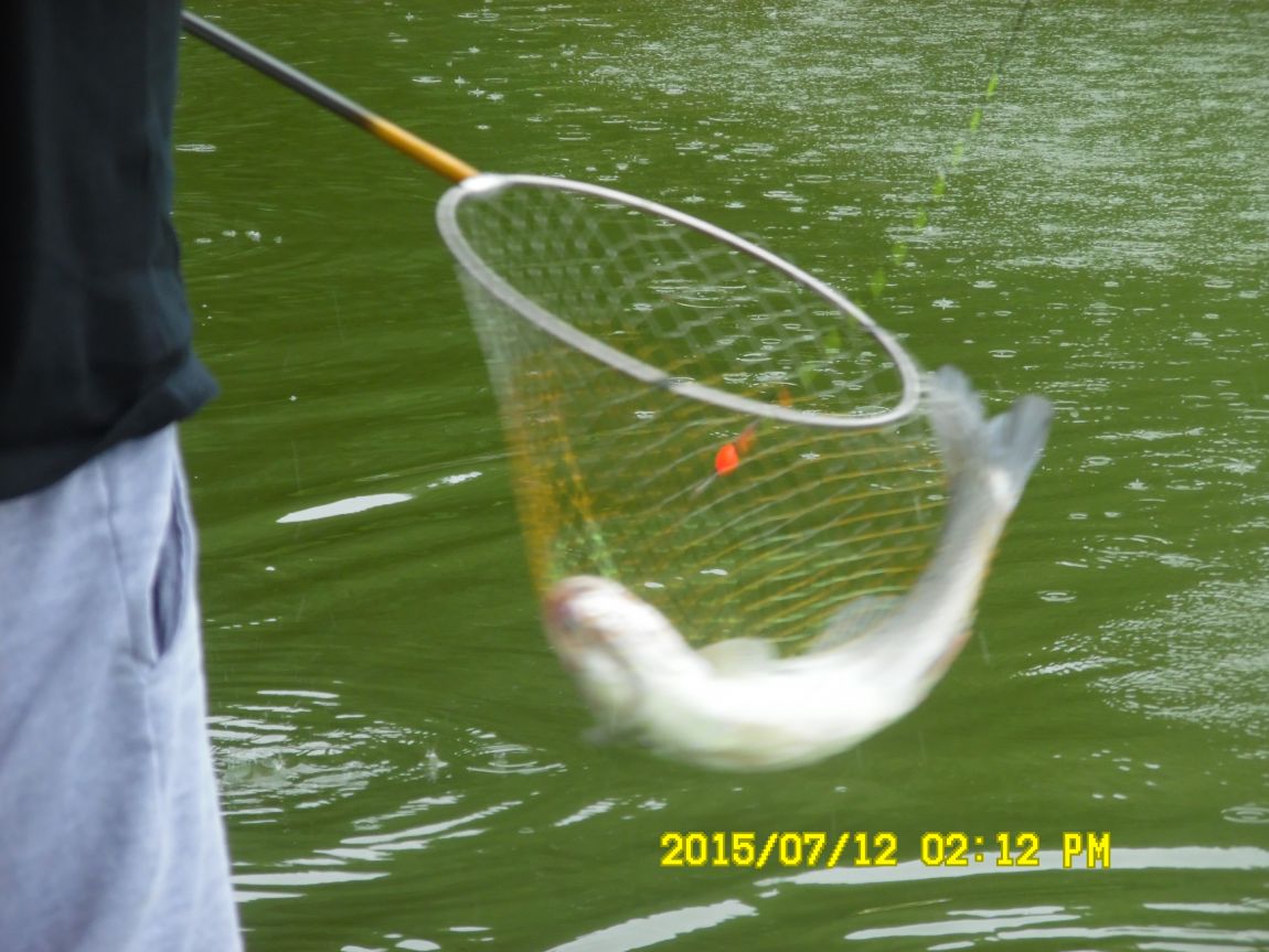 7��12��~13���� 007.JPG