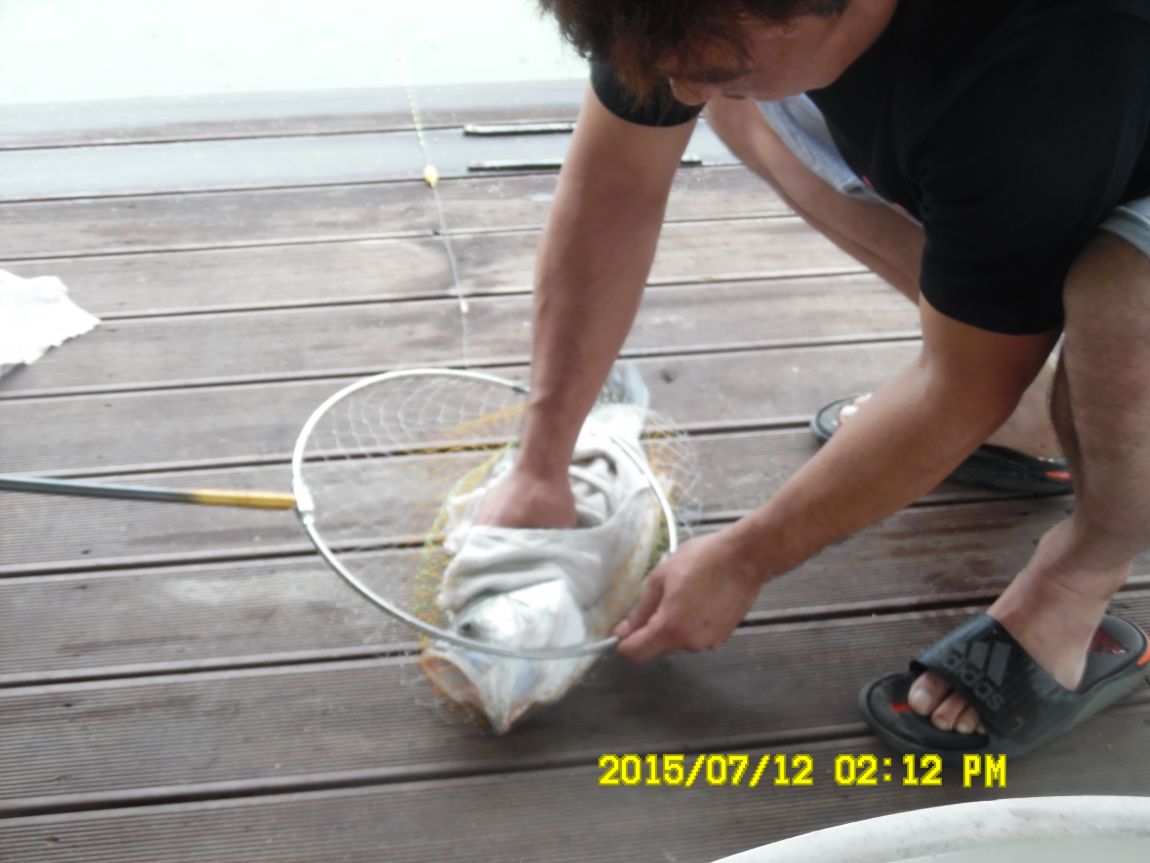 7��12��~13���� 008.JPG