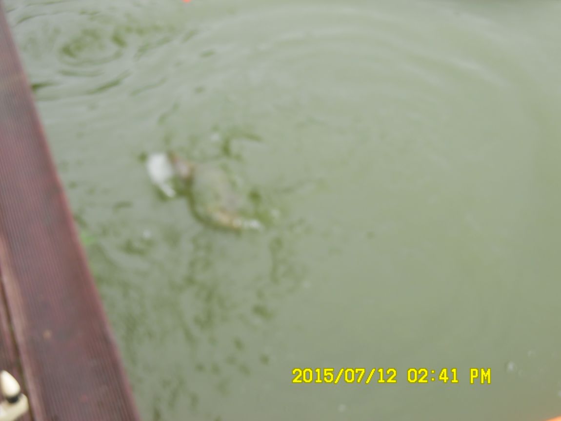 7��12��~13���� 014.JPG