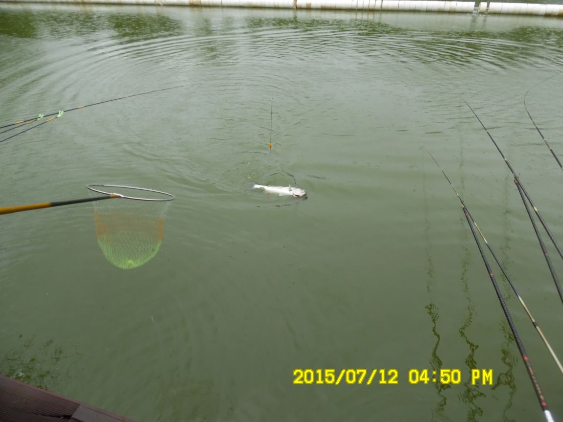 7��12��~13���� 020.JPG