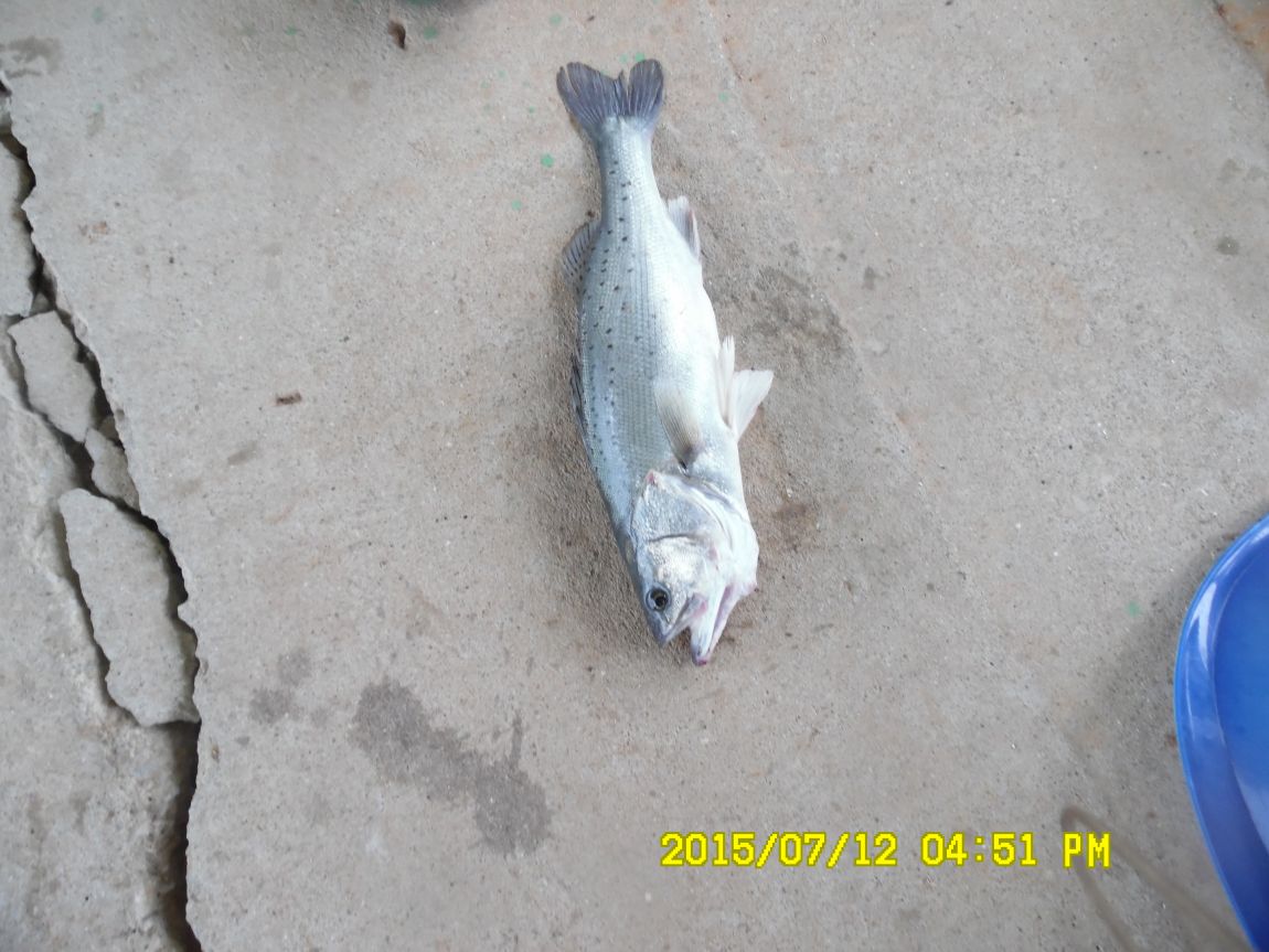 7��12��~13���� 022.JPG