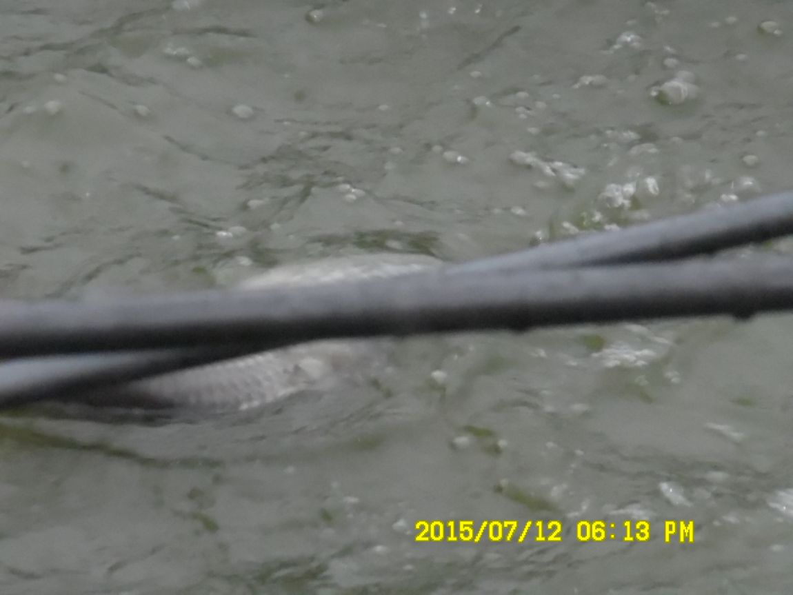 7��12��~13���� 024.JPG