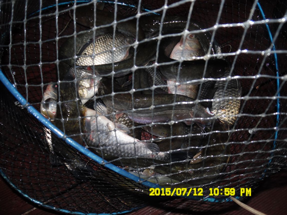 7��12��~13���� 026.JPG