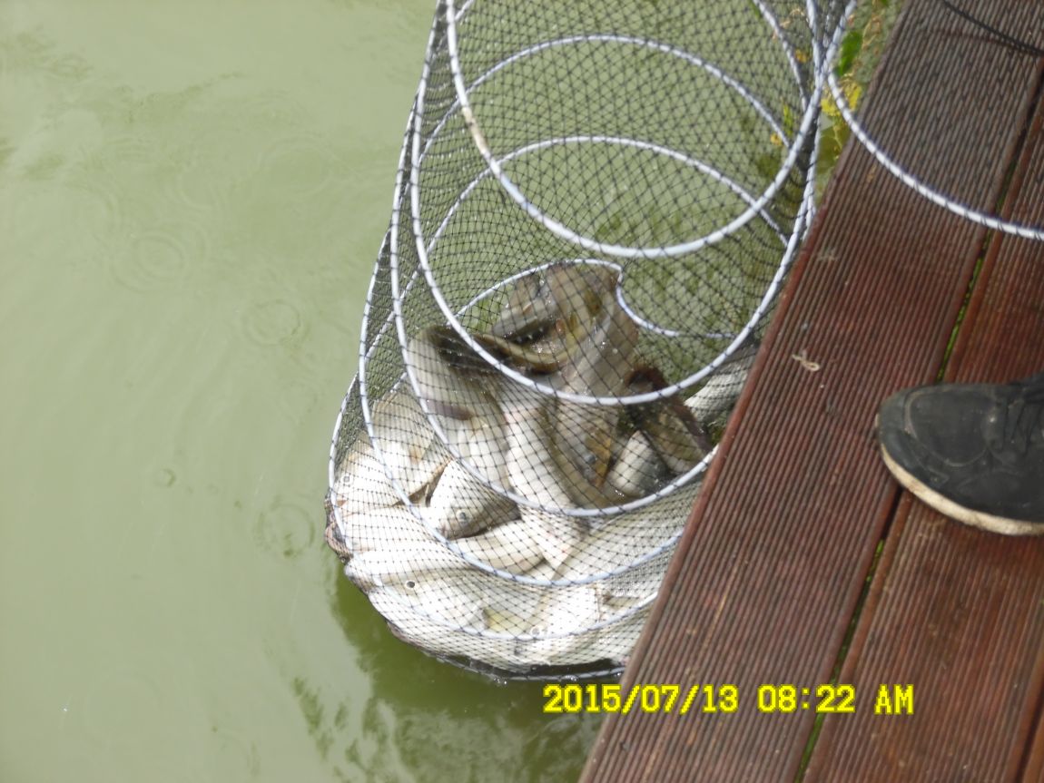 7��12��~13���� 027.JPG